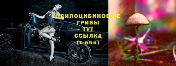 мяу мяу мука Алзамай