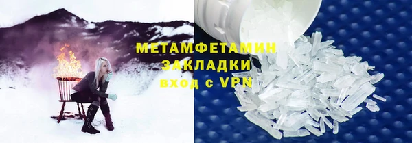 прущие грибы Алексин