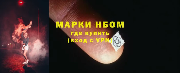 прущие грибы Алексин