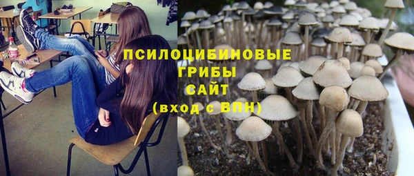амфетамин Алексеевка