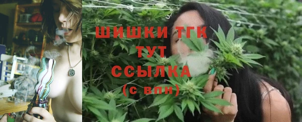 мяу мяу мука Алзамай