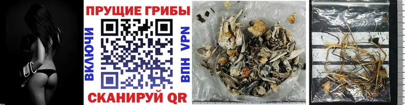 Галлюциногенные грибы Cubensis Миасс