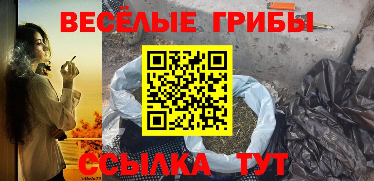 Псилоцибиновые грибы Psilocybine cubensis Миасс