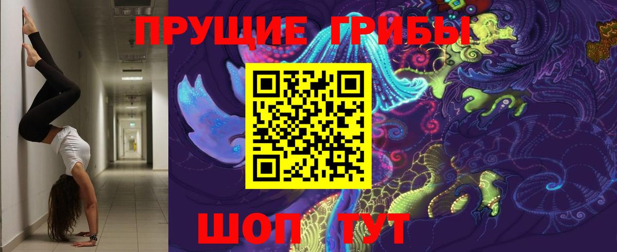 Галлюциногенные грибы GOLDEN TEACHER  Вход с VPN  Галлюциногенные грибы MAGIC MUSHROOMS  Миасс 